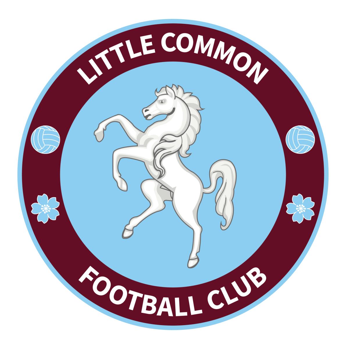 welcome-to-the-official-website-of-little-common-football-club