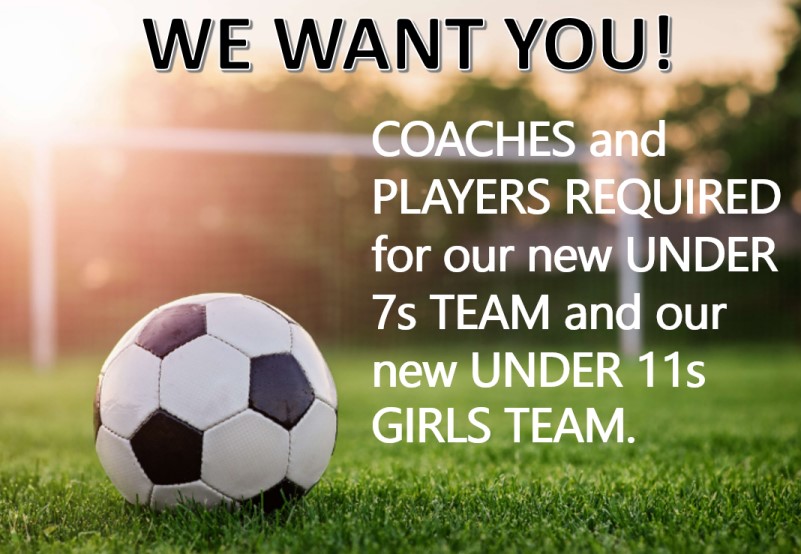 Stoke Hill AFC, COACHES and PLAYERS REQUIRED for our new UNDER 7s TEAM ...