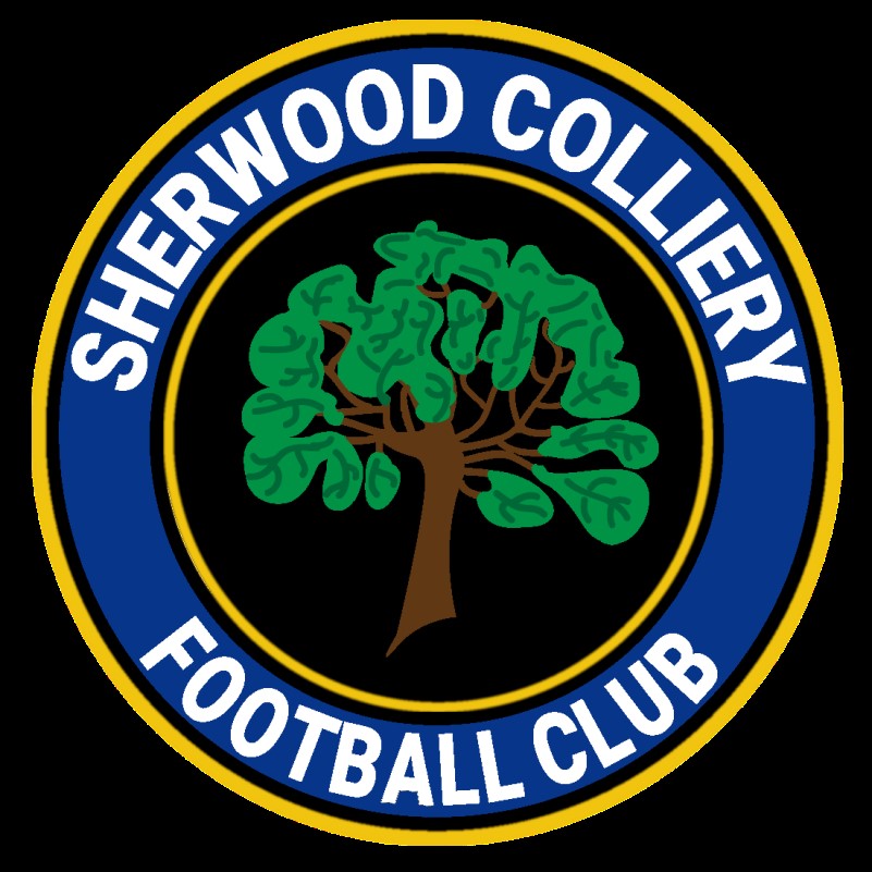 Sherwood Colliery FC, Sherwood Colliery Football Club Statement - U21 ...